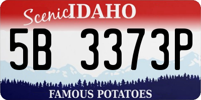 ID license plate 5B3373P