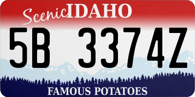 ID license plate 5B3374Z