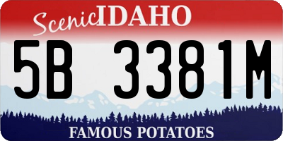 ID license plate 5B3381M