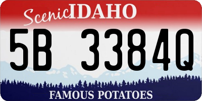 ID license plate 5B3384Q