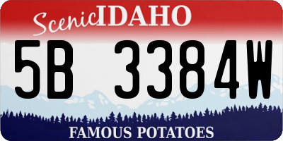ID license plate 5B3384W