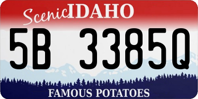 ID license plate 5B3385Q