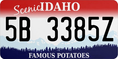 ID license plate 5B3385Z