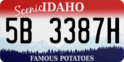 ID license plate 5B3387H