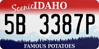 ID license plate 5B3387P