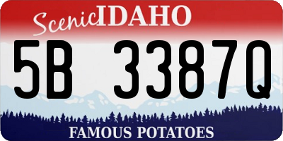 ID license plate 5B3387Q