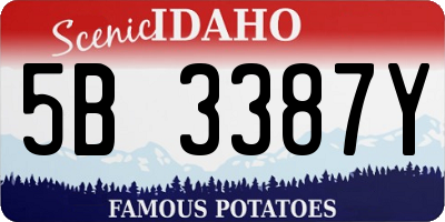 ID license plate 5B3387Y