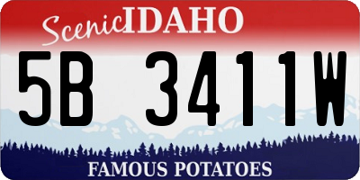 ID license plate 5B3411W