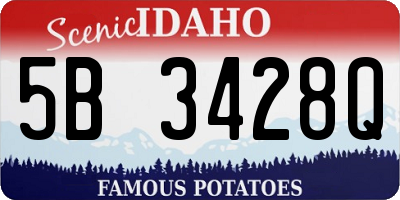 ID license plate 5B3428Q