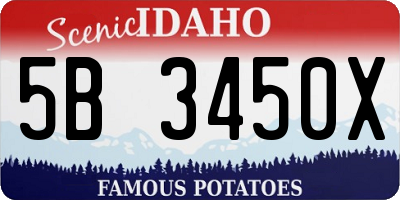 ID license plate 5B3450X