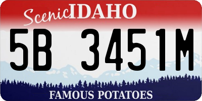 ID license plate 5B3451M