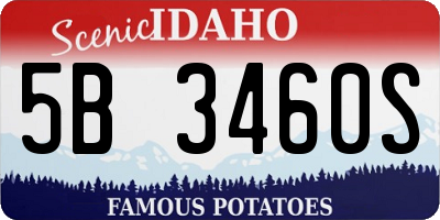 ID license plate 5B3460S