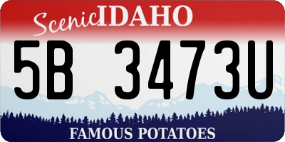 ID license plate 5B3473U