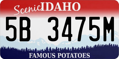 ID license plate 5B3475M