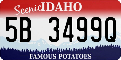ID license plate 5B3499Q
