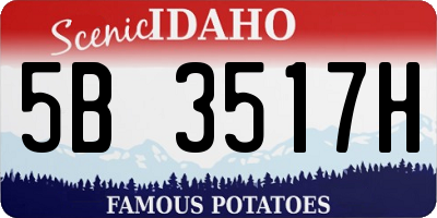 ID license plate 5B3517H
