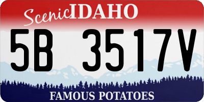 ID license plate 5B3517V