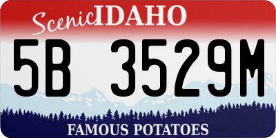 ID license plate 5B3529M