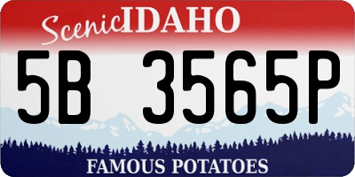 ID license plate 5B3565P