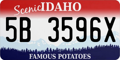 ID license plate 5B3596X