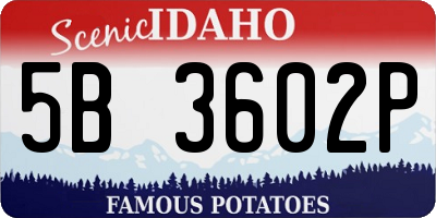 ID license plate 5B3602P