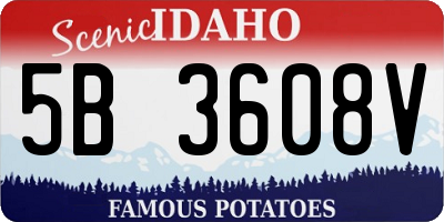 ID license plate 5B3608V
