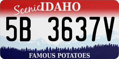 ID license plate 5B3637V