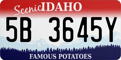 ID license plate 5B3645Y