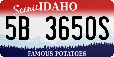 ID license plate 5B3650S