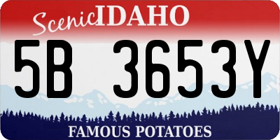 ID license plate 5B3653Y
