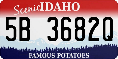 ID license plate 5B3682Q