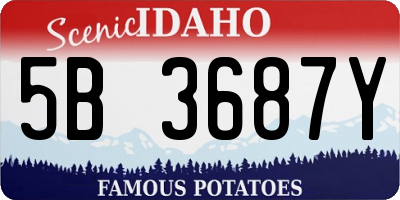 ID license plate 5B3687Y