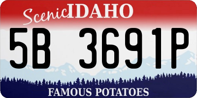 ID license plate 5B3691P