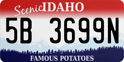 ID license plate 5B3699N