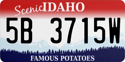 ID license plate 5B3715W