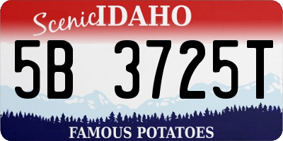 ID license plate 5B3725T