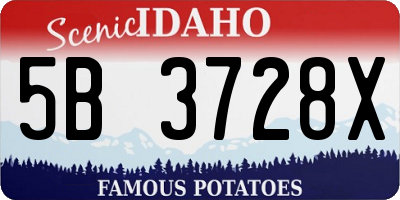 ID license plate 5B3728X