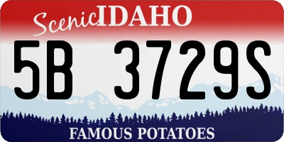 ID license plate 5B3729S