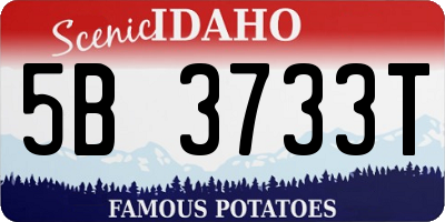 ID license plate 5B3733T