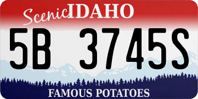 ID license plate 5B3745S