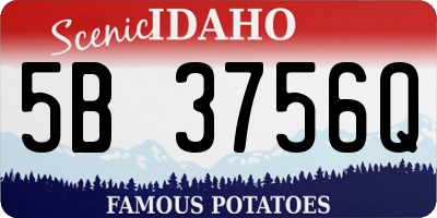 ID license plate 5B3756Q