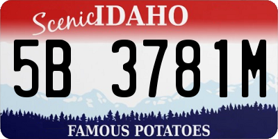 ID license plate 5B3781M