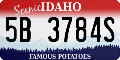 ID license plate 5B3784S