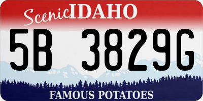 ID license plate 5B3829G