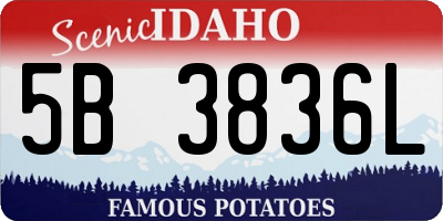 ID license plate 5B3836L