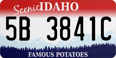 ID license plate 5B3841C