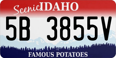 ID license plate 5B3855V