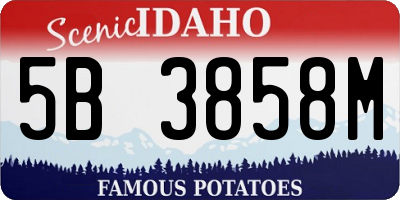 ID license plate 5B3858M