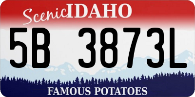 ID license plate 5B3873L