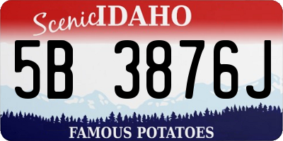 ID license plate 5B3876J